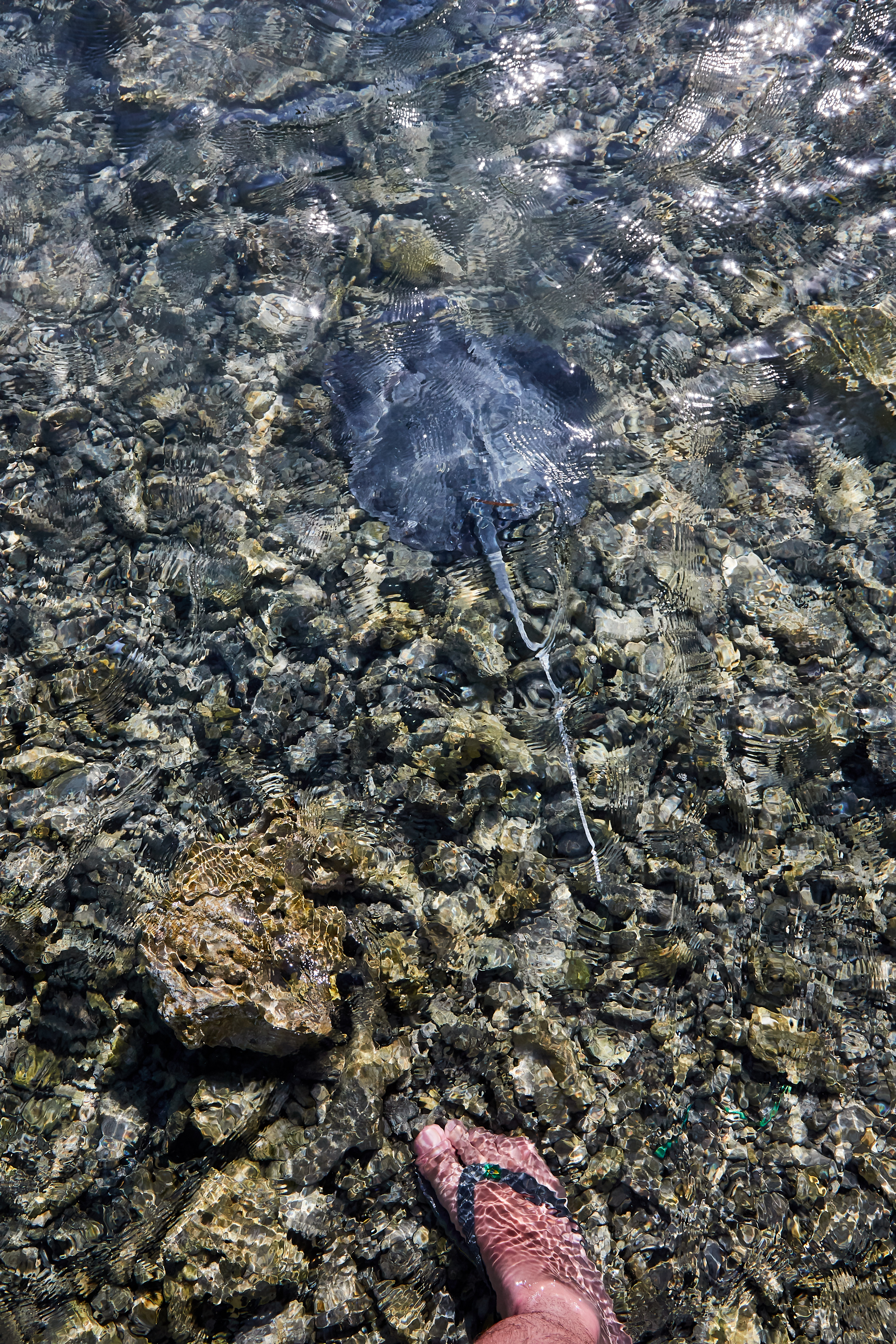 003962 21 08 17  Canon EOS 7D Mark II   Malediven2017